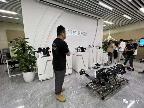 从深圳东部之巅到超级走廊 深圳又一条咖啡街火出圈了