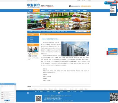 湘雪科技 网站建设