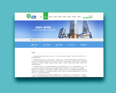 软件科技类企业营销型官网建设