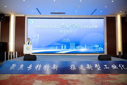 经开区 以 专精特新 唱响产业发展 高音