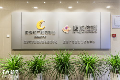 喜报 成都台橙视传媒科技公司获评 2021四川省最具核心竞争力软件企业