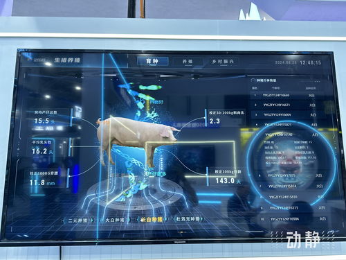 展 看数博, ai 意满满