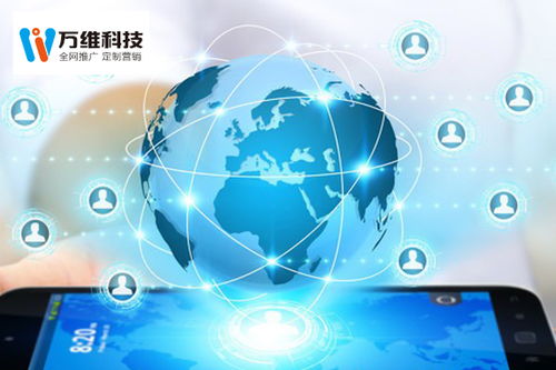 互联网外包平台 专业互联网外包平台怎么做 万企新维科技公司
