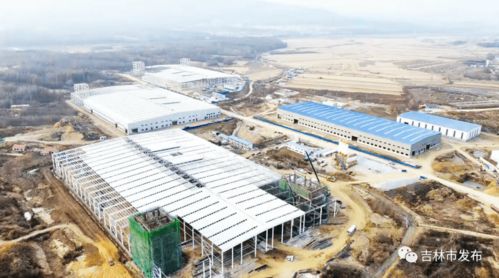 项目建设 中泽吉铁钼酸铵生产线试车成功